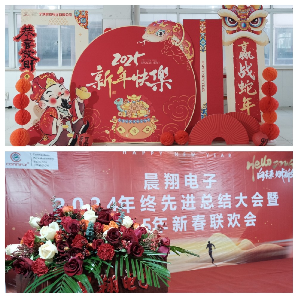 晨翔電子2024年終先進總結(jié)大會暨2025年新春聯(lián)歡會圓滿落幕！